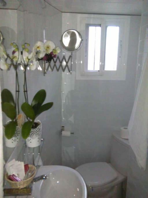 Casa Romantica "La Chela" Вехер-де-ла-Фронтера Екстер'єр фото